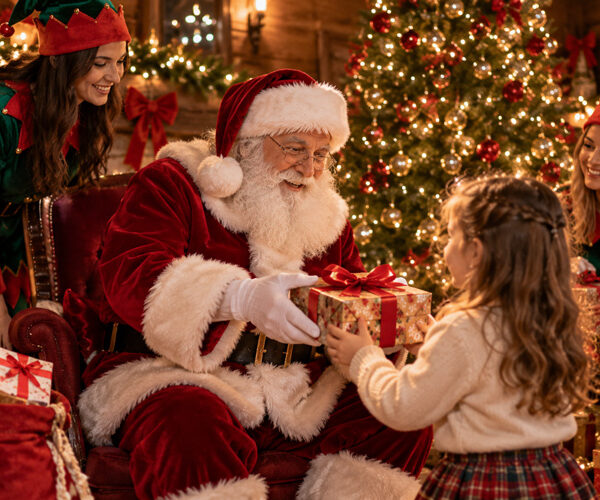 Père Noël et lutins
